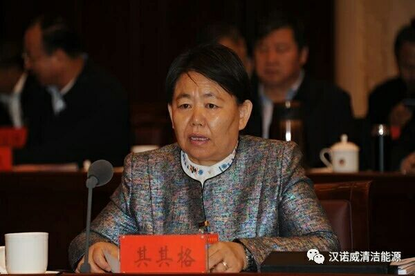 漢諾威清潔能源 漢諾威清潔能源