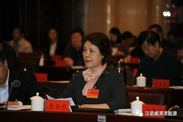 漢諾威清潔能源 漢諾威清潔能源